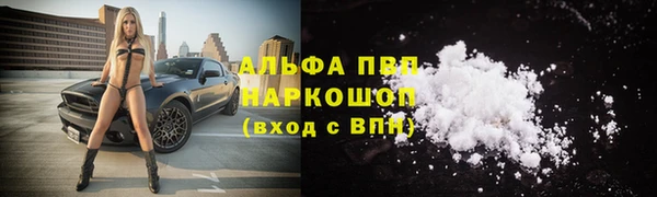 хмурый Абаза
