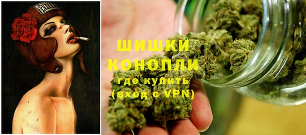 хмурый Абаза