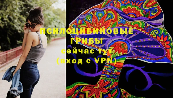 бошки Абдулино
