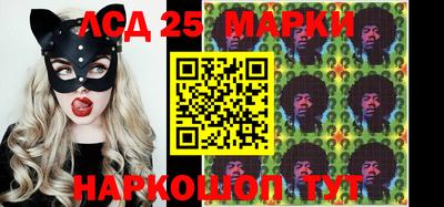 шишки Боровичи