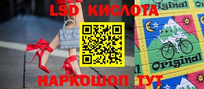шишки Боровичи