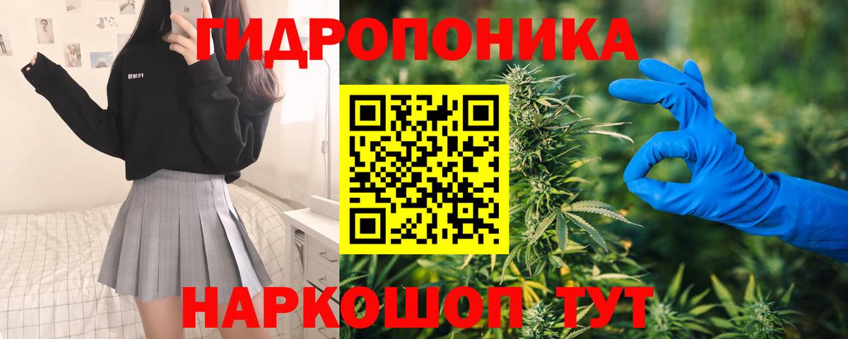 Бошки Шишки AK-47  Канабис гибрид  Вход с VPN  Конопля ГИДРОПОН  Белая Калитва 
